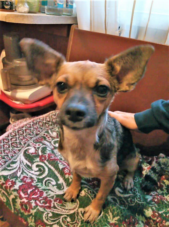 позирует дома. 