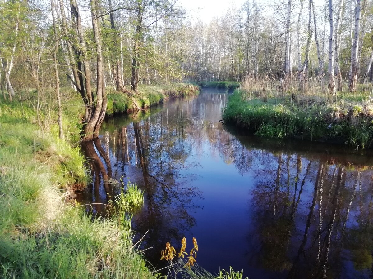... вместо Жизни потратить на стройку?