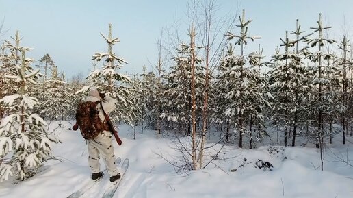 Ушел в тайгу в лютый мороз. Охота в Карелии. Поход в тайгу. Чай с дымком на костре.