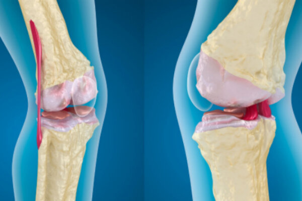 Источник: https://yandex.ru/images