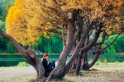Главное о новых зарплатах, призыве и пенсиях