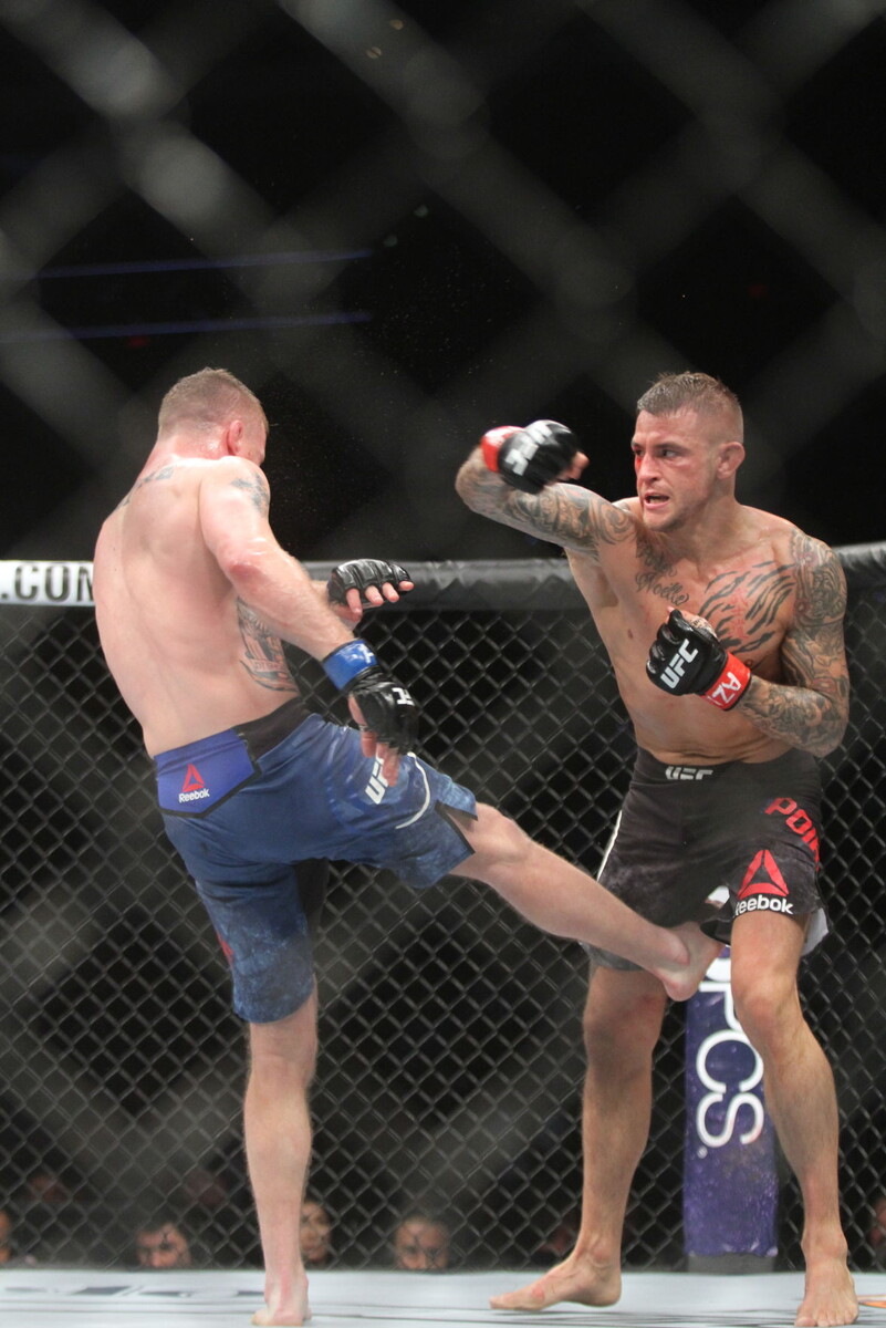 Фото взято из открытых источников