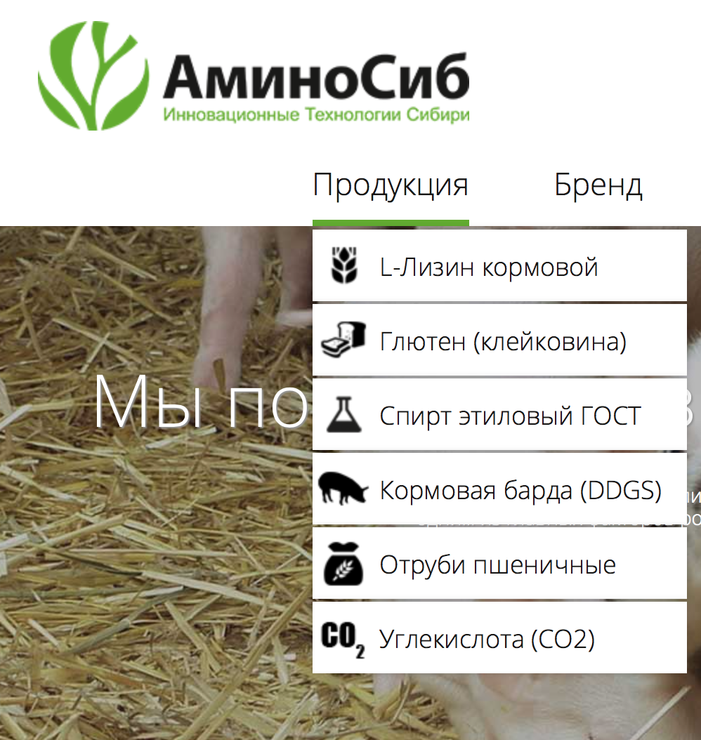 Выпускаемая АминоСибом продукция
