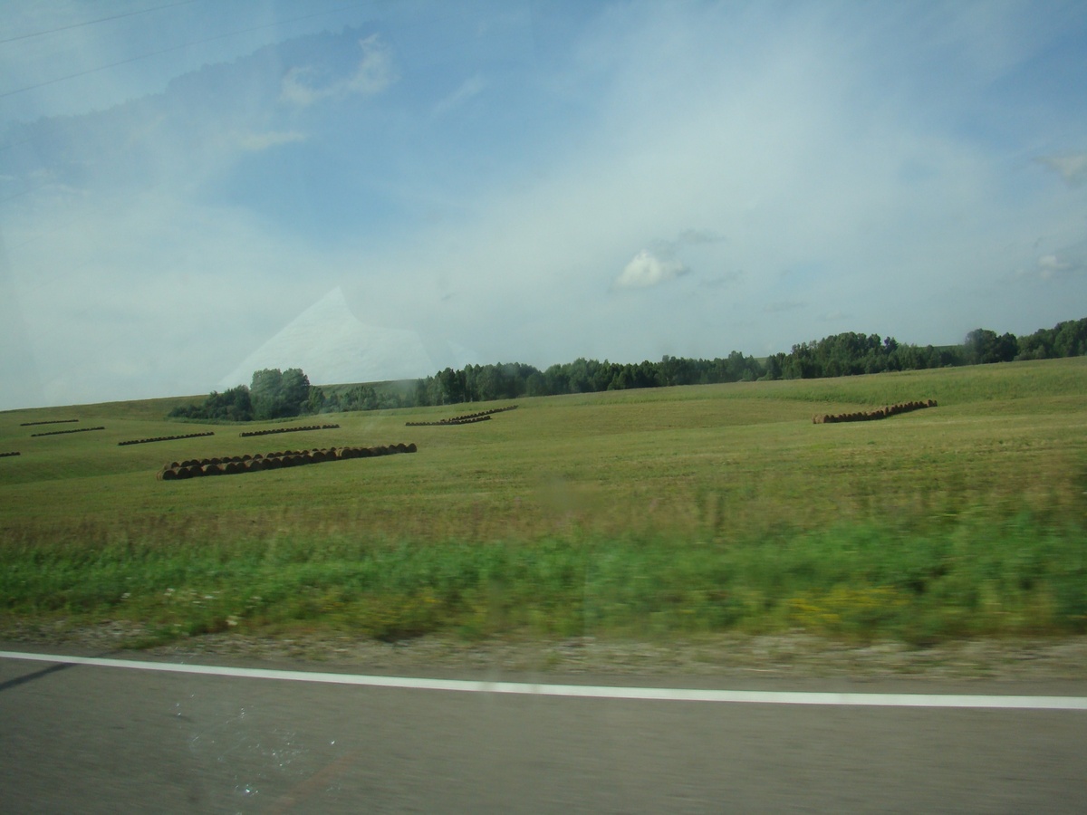 то самое сено-сено, луга-луга. фото автора