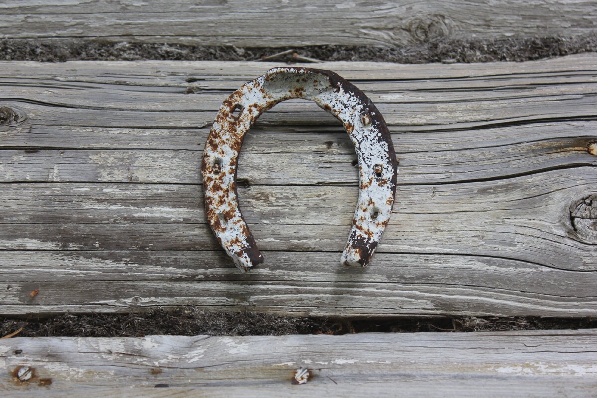 Рожками вниз — чтобы негатив "стекал" по ним и оставался за дверью.