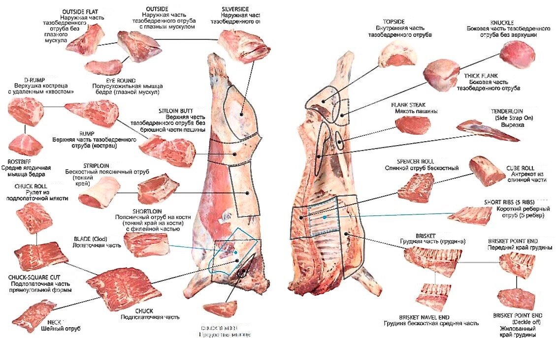 Схемы разделки бараньей, говяжьей и свиной туши на мясо.
