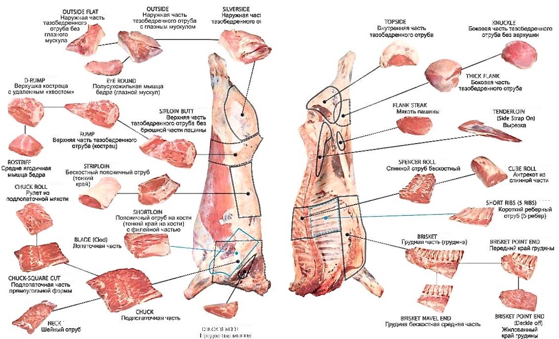 Части туши говядины: разделка, виды, особенности - подробный разбор от Нашей Житницы