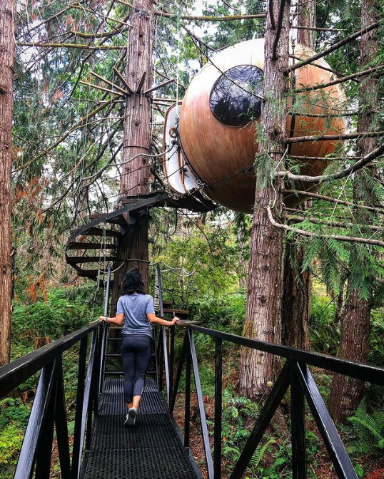 "Сферы свободного духа" Канада