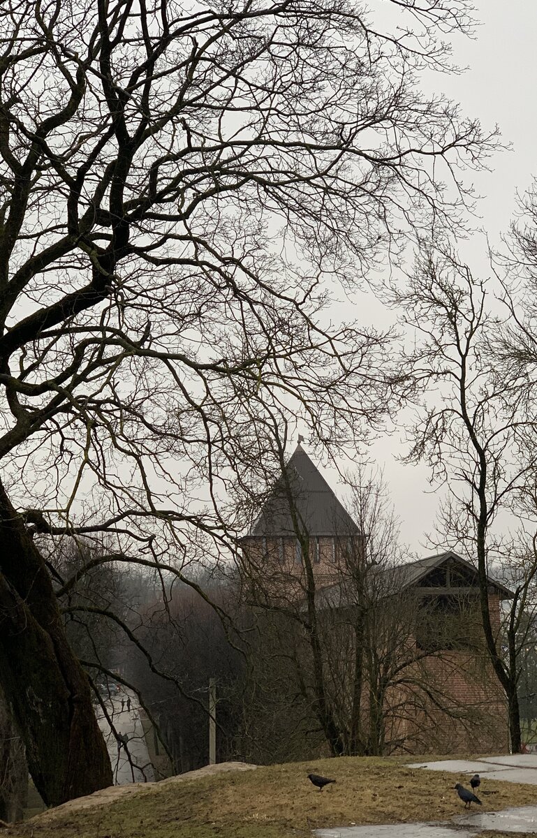 Смоленск в межсезонье с туманами и жухлой травой – очень атмосферное место