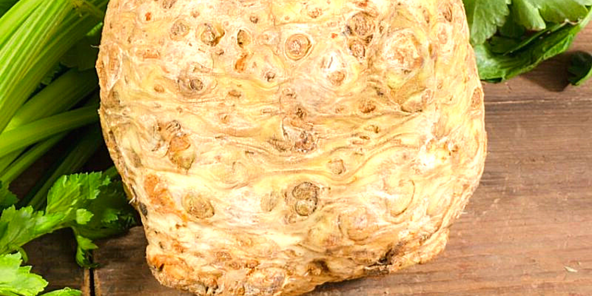 И вот такой корень сельдерея