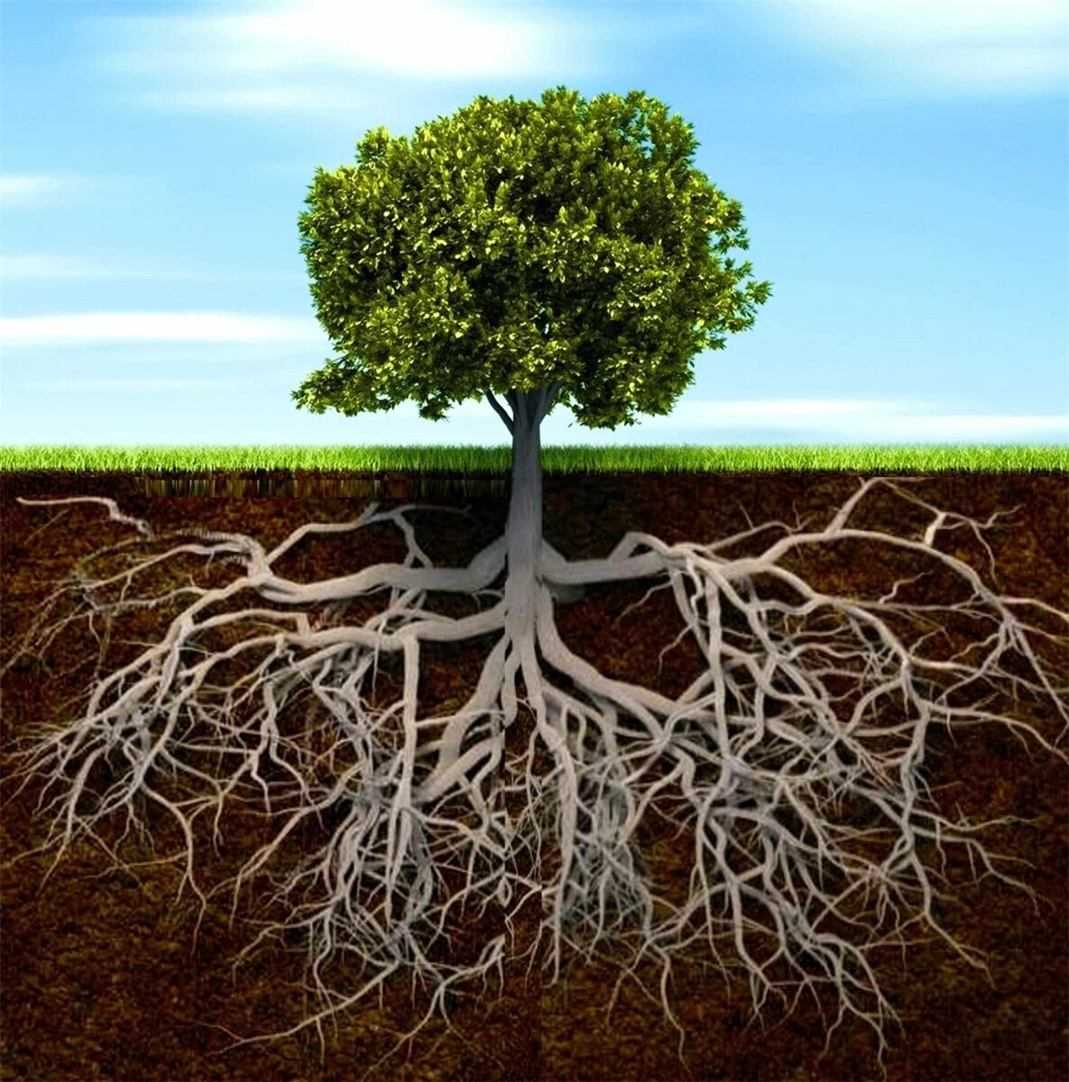 Хорошая связь с родом