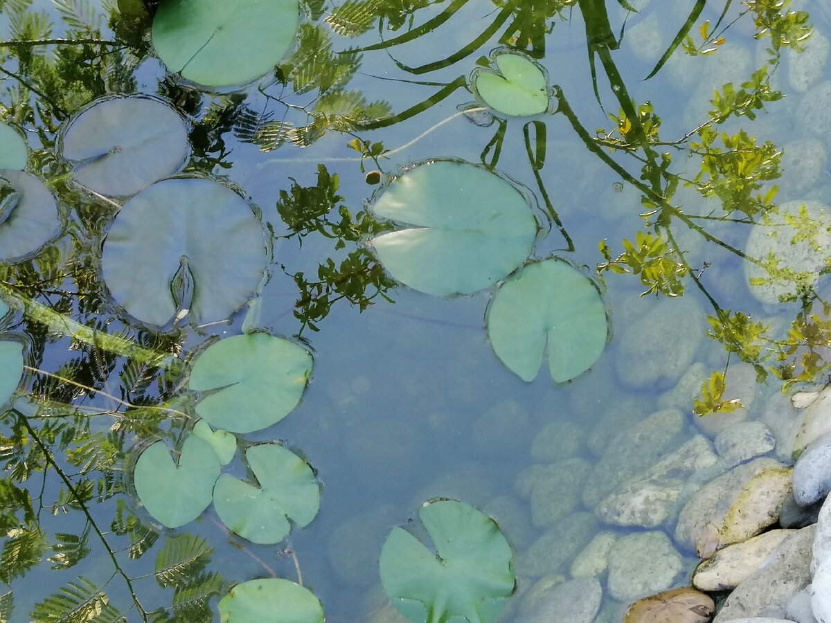 Фото автора статьи