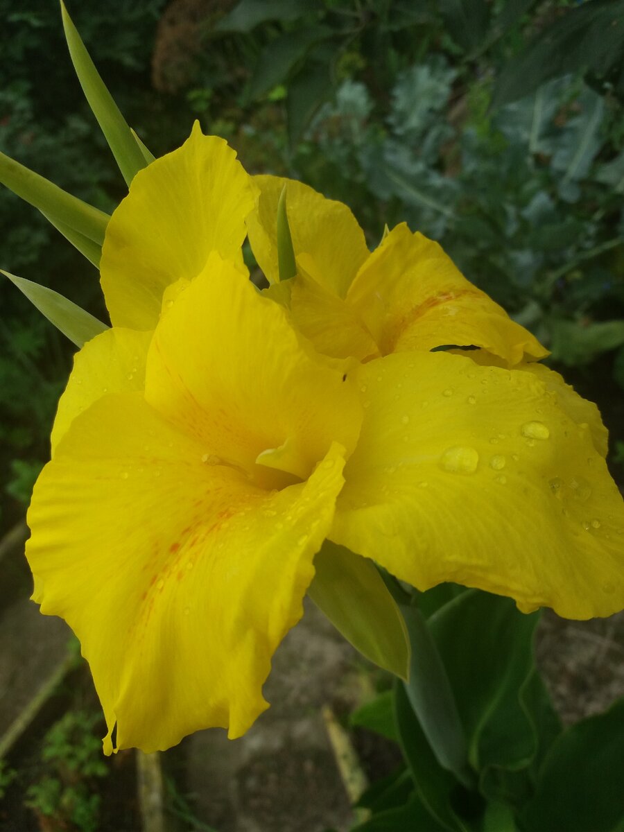 Красиво (фото из личного орхива)