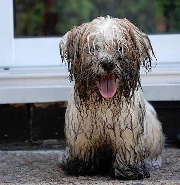 фото взято из открьтого доступа