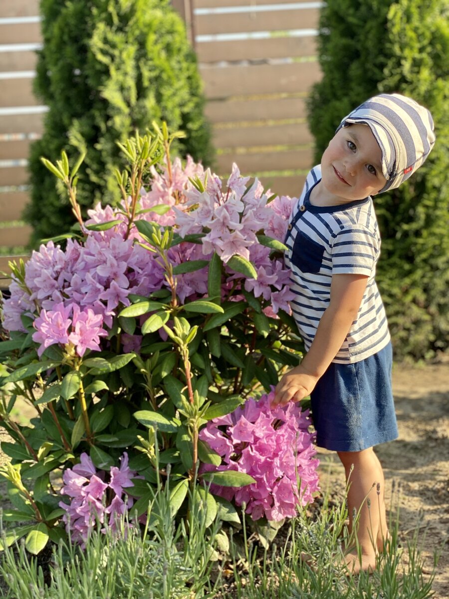 Цветение прошлого года, эти только начинают зацветать