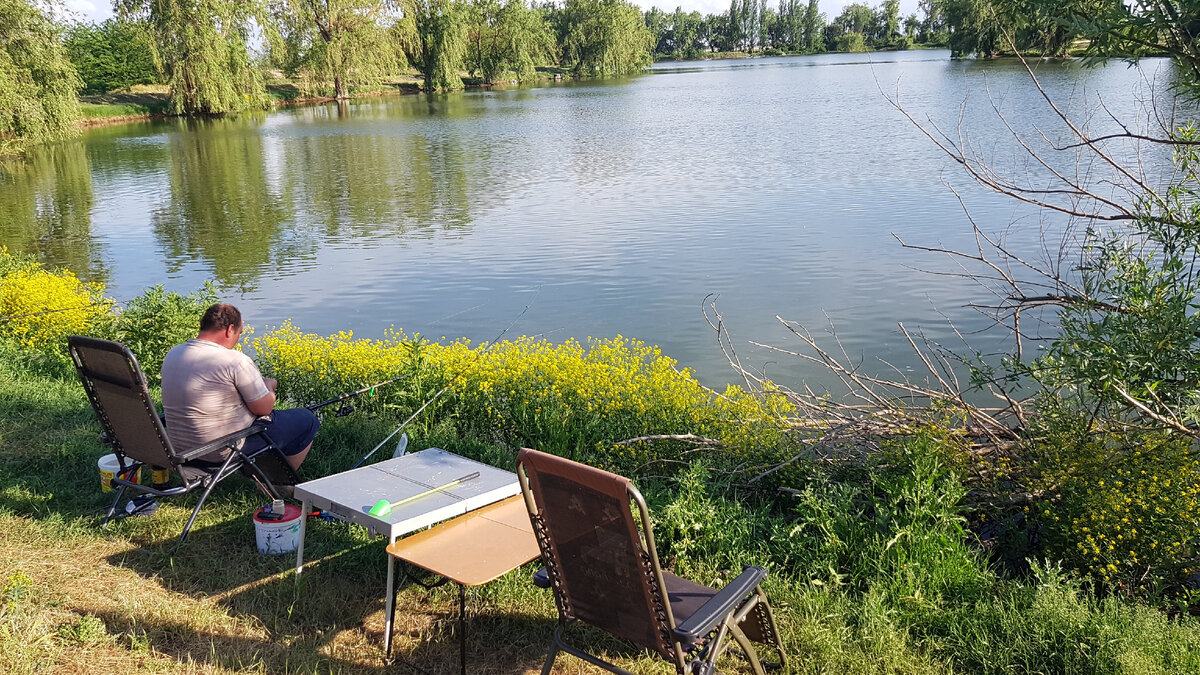 Село - оазис в Крыму. Вековые дубы-колдуны, рыбные озёра, источник с  минеральной водой. И дом с участком продают за миллион. | Добрый Крым. |  Дзен