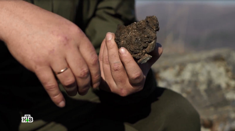 мумие-геологическая порода