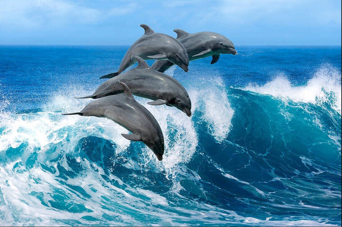 Быстрее пить!!! Видение автора.