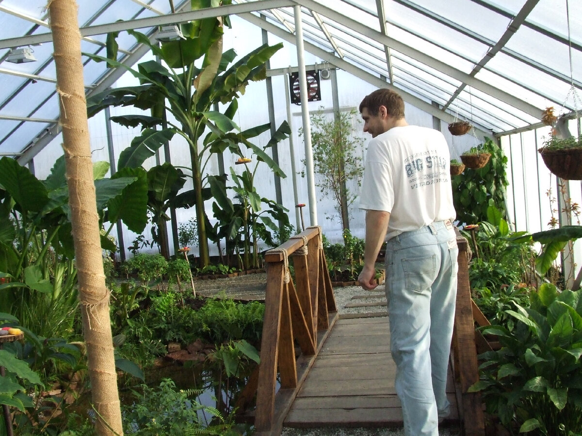 Настоящие тропики. Фото автора