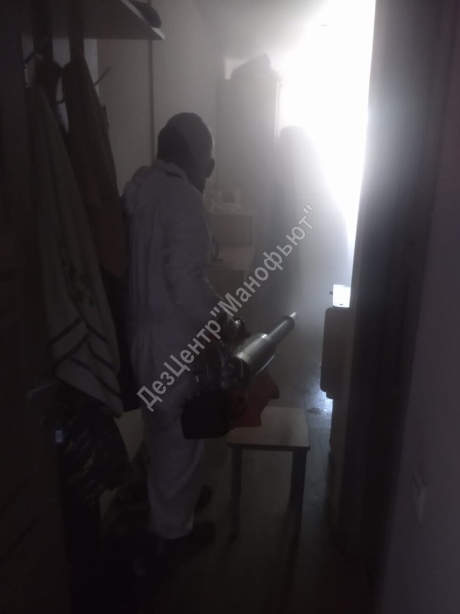 Обработка с использованием генератора горячего тумана.