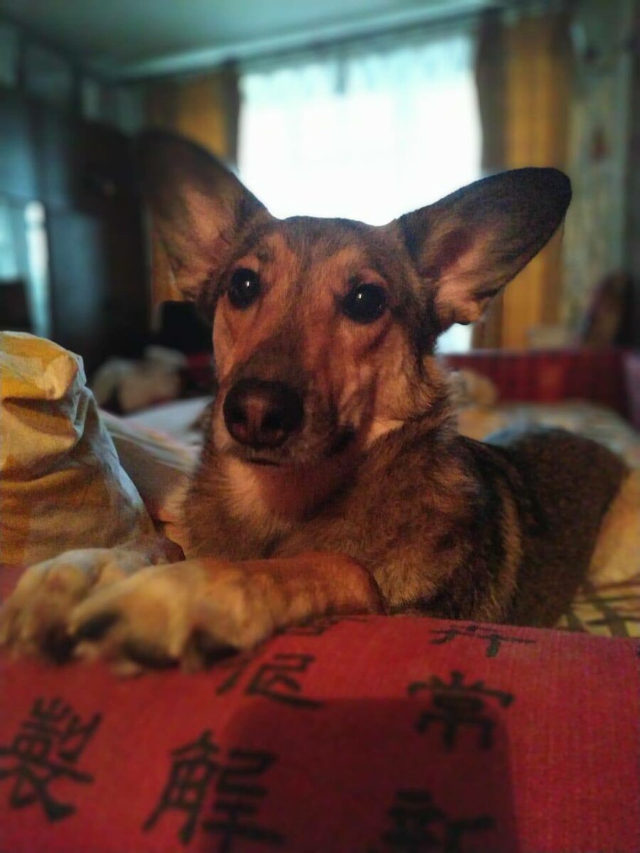 Вылитый Бодлер)