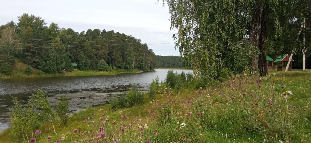 Речка в нынешнее время. На берегах оборудованы беседки, для культурного отдыха