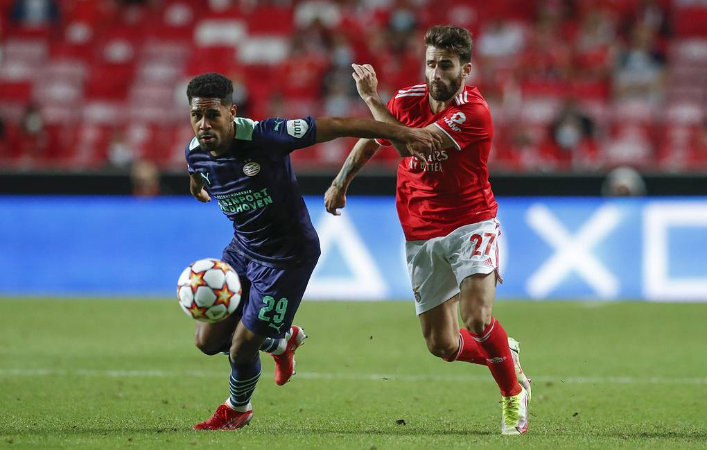 Из открытых источников.