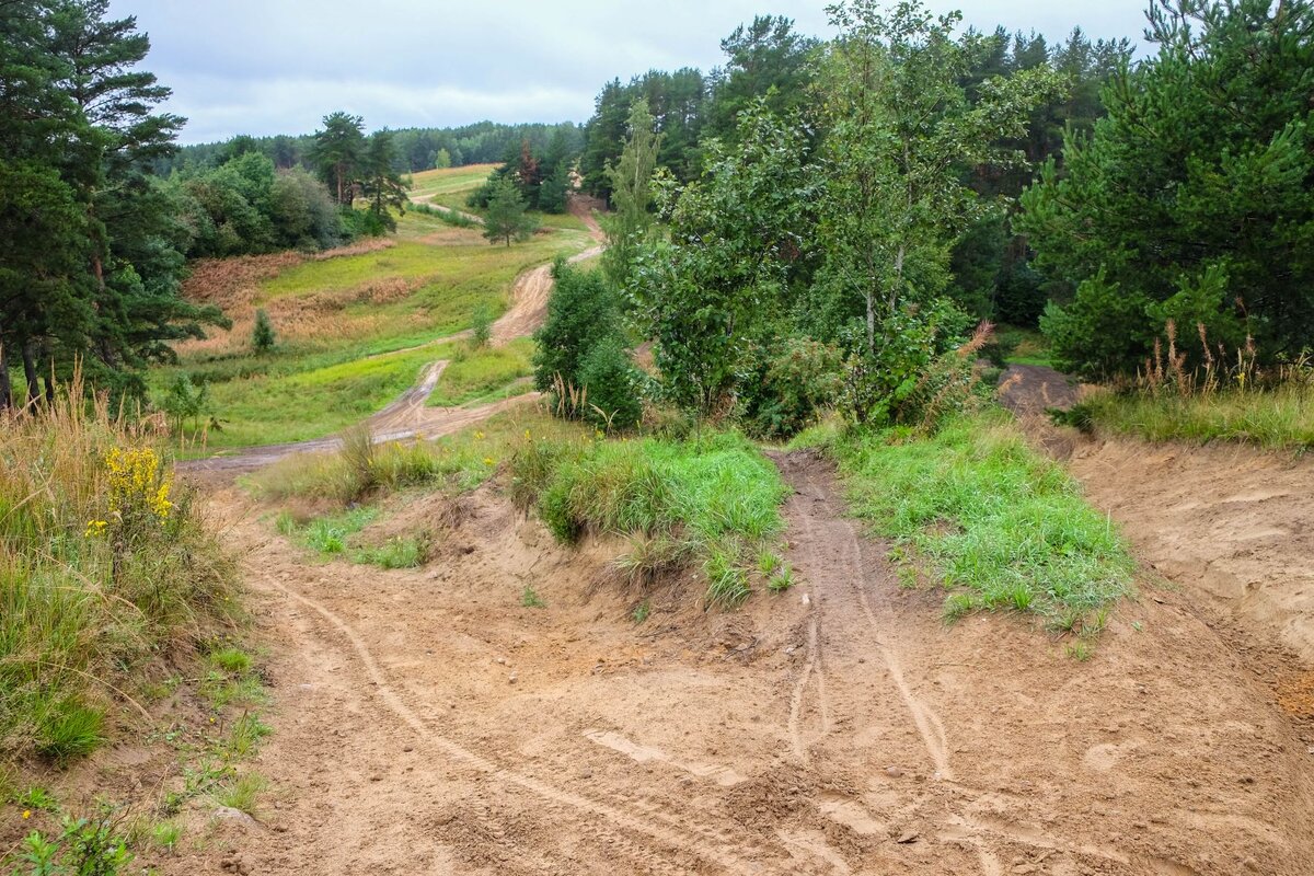 Камовые холмы Колтушской возвышенности.