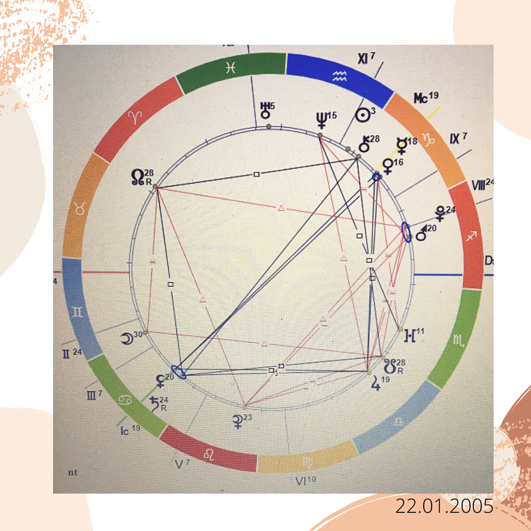 карта брака Трамп 