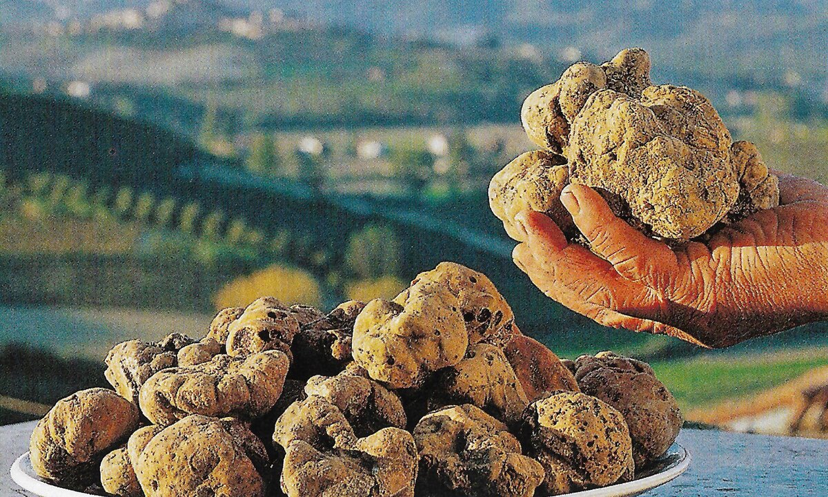 Фото из учебника по кулинарии