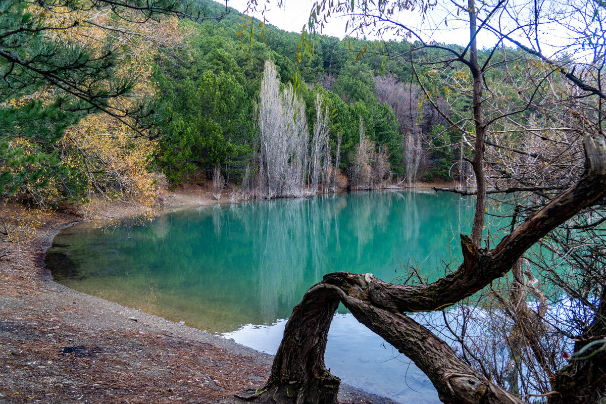 Озеро Бирюзовое. Фото автора.