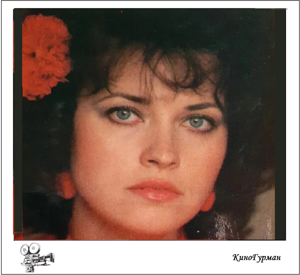 Людмила Шевель в молодости (Яндекс картинки).