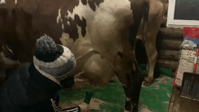 Нажмите на гифку