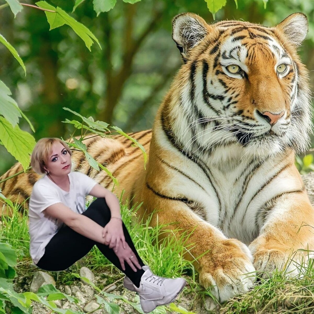это я сейчас