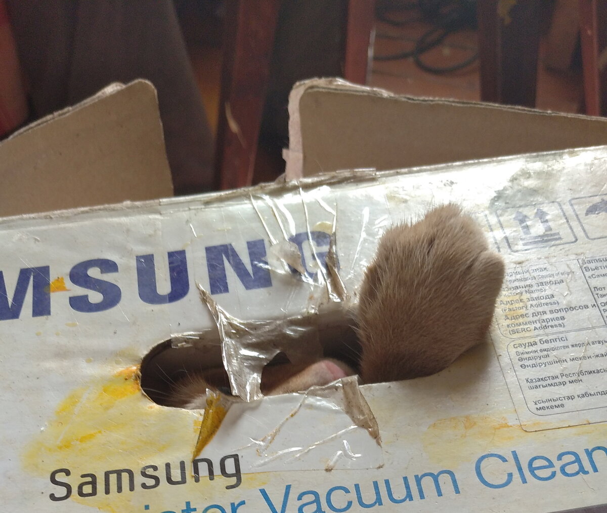 Личное фото .  НЕ РЕКЛАМА ТОВАРА .