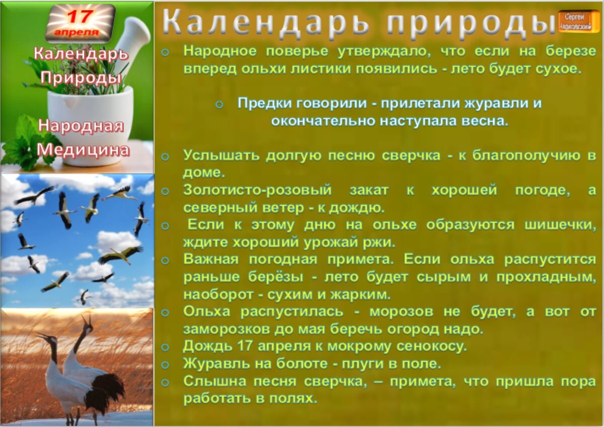 17 апреля - Традиции, приметы, обычаи и ритуалы дня. Все праздники дня во  всех календаре | Сергей Чарковский Все праздники | Дзен