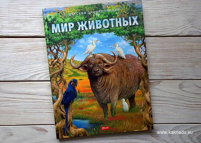 Детская книга. Рассказы и сказки о животных | KOLOBOK