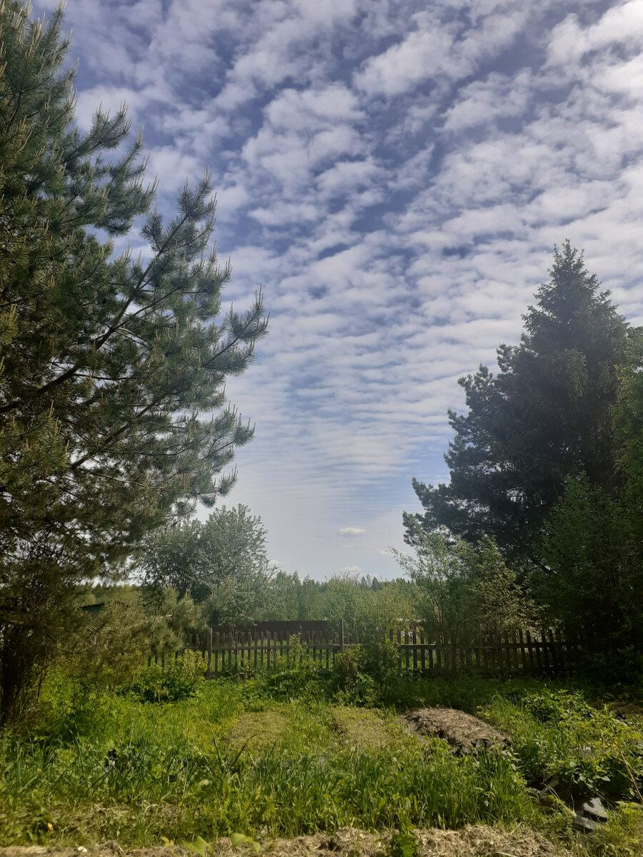 Фото сделано на даче