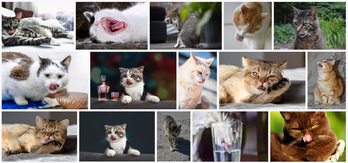 Коллаж фото pixabay.com