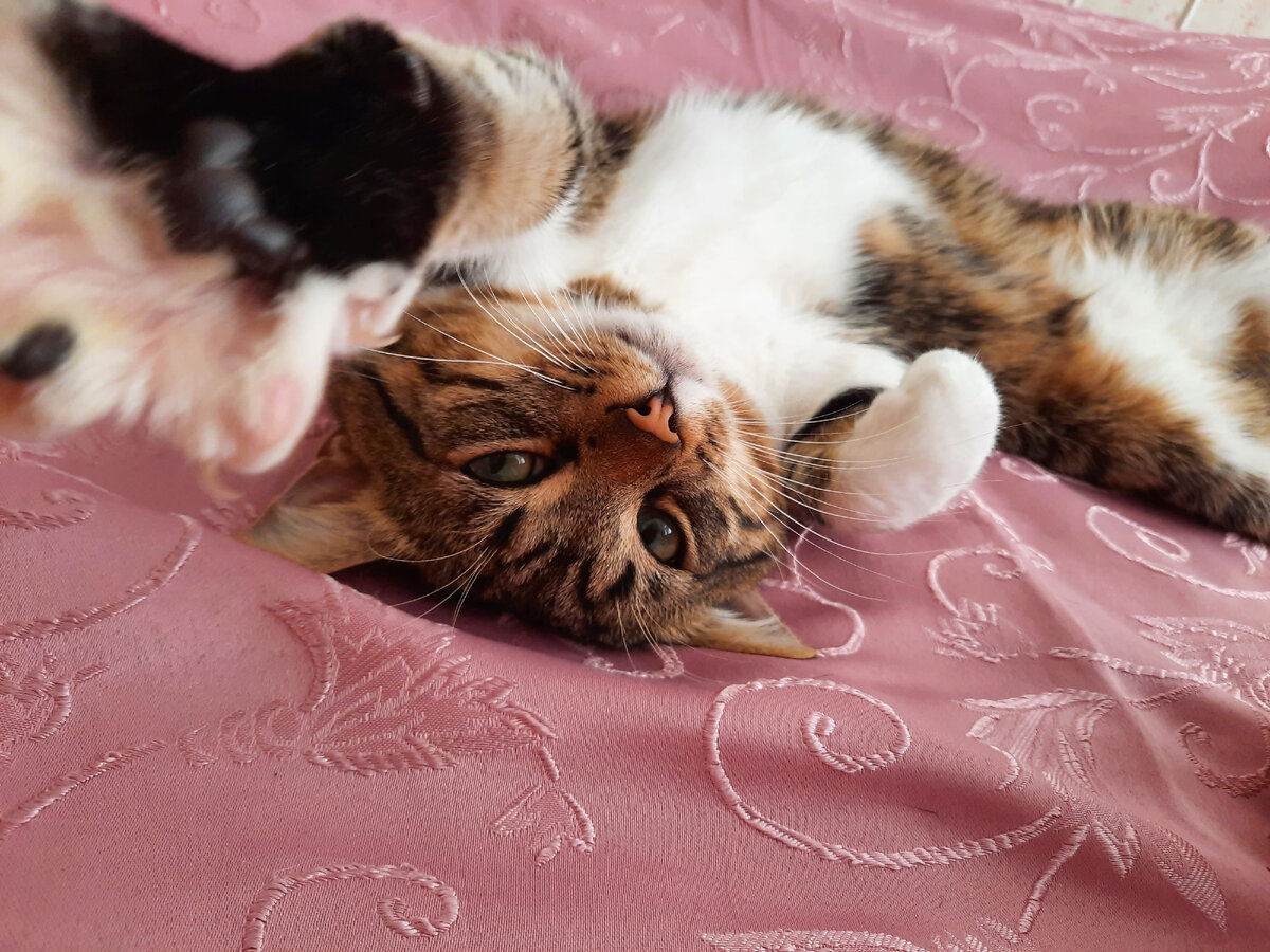 Фото автора