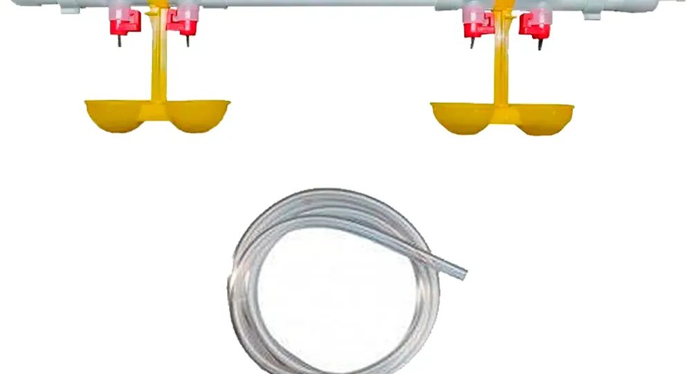 Почему самодельные поилки вредят нашим птицам? Выбираем лучшие поилки для наших птиц.