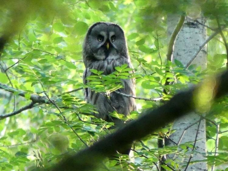 | Фото: Тобольская научная станция РАН