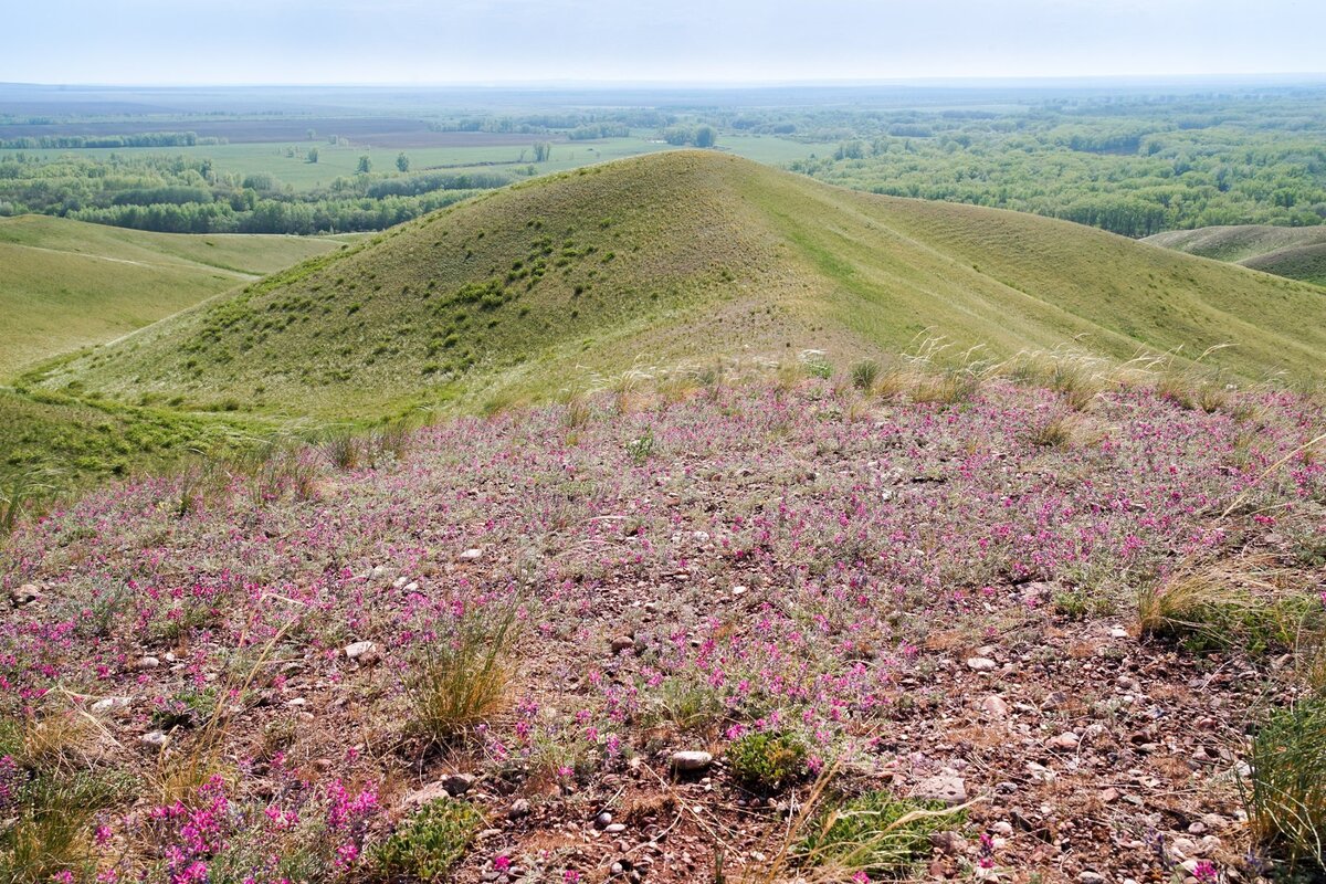 химзаводские горы гомель