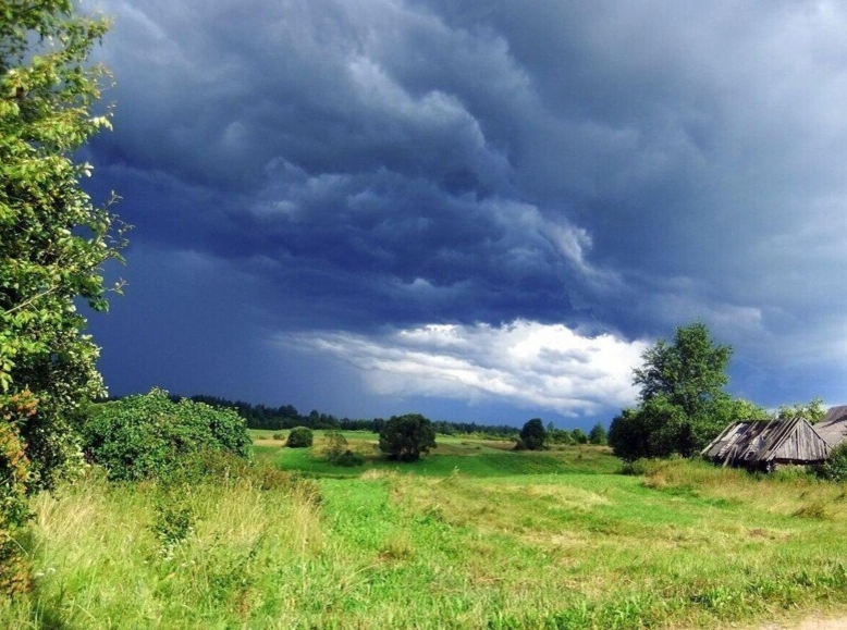 Фото из интернета.