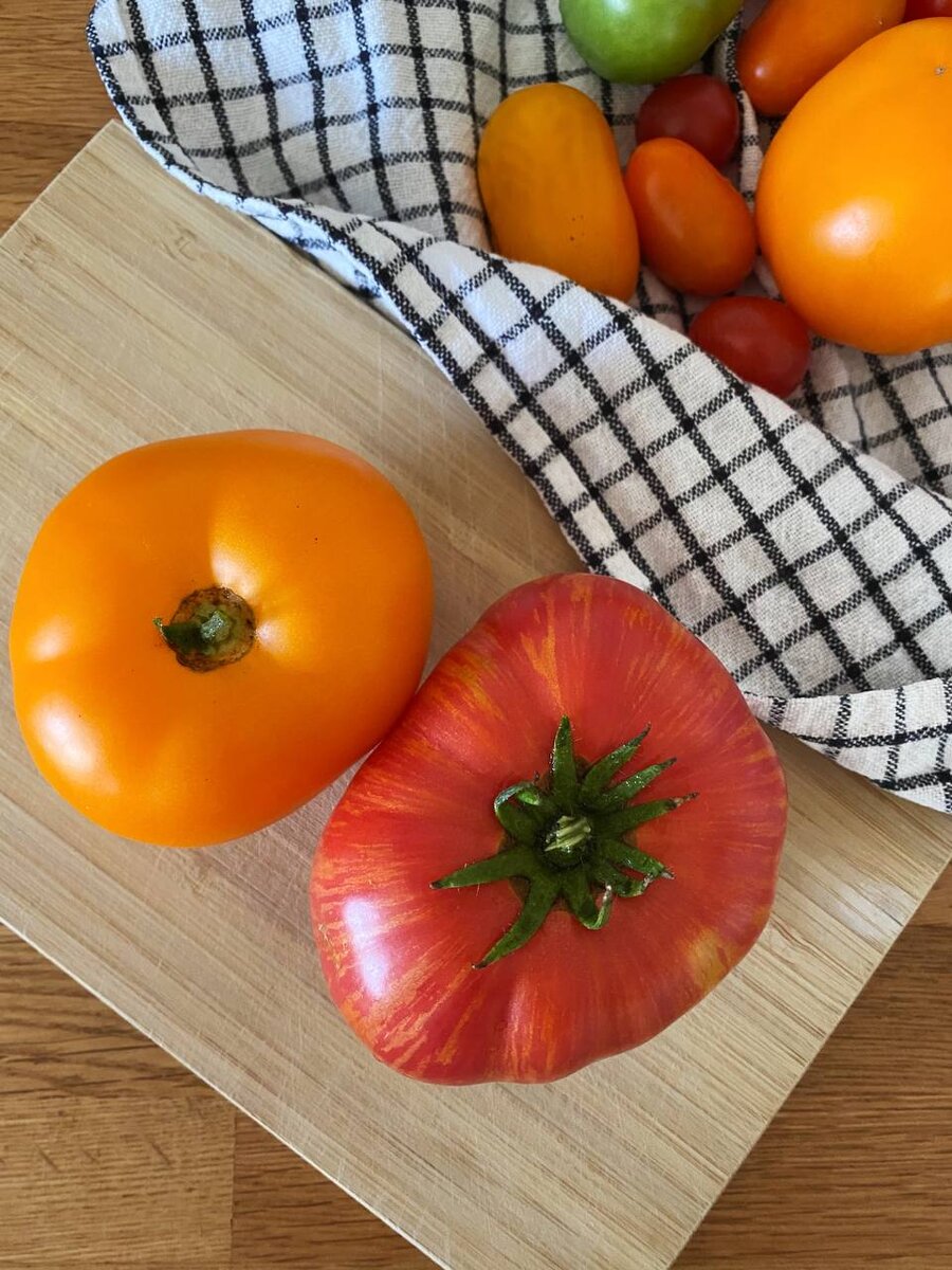 "Хурма" - желтый, "Винтаж" - красный полосатый.