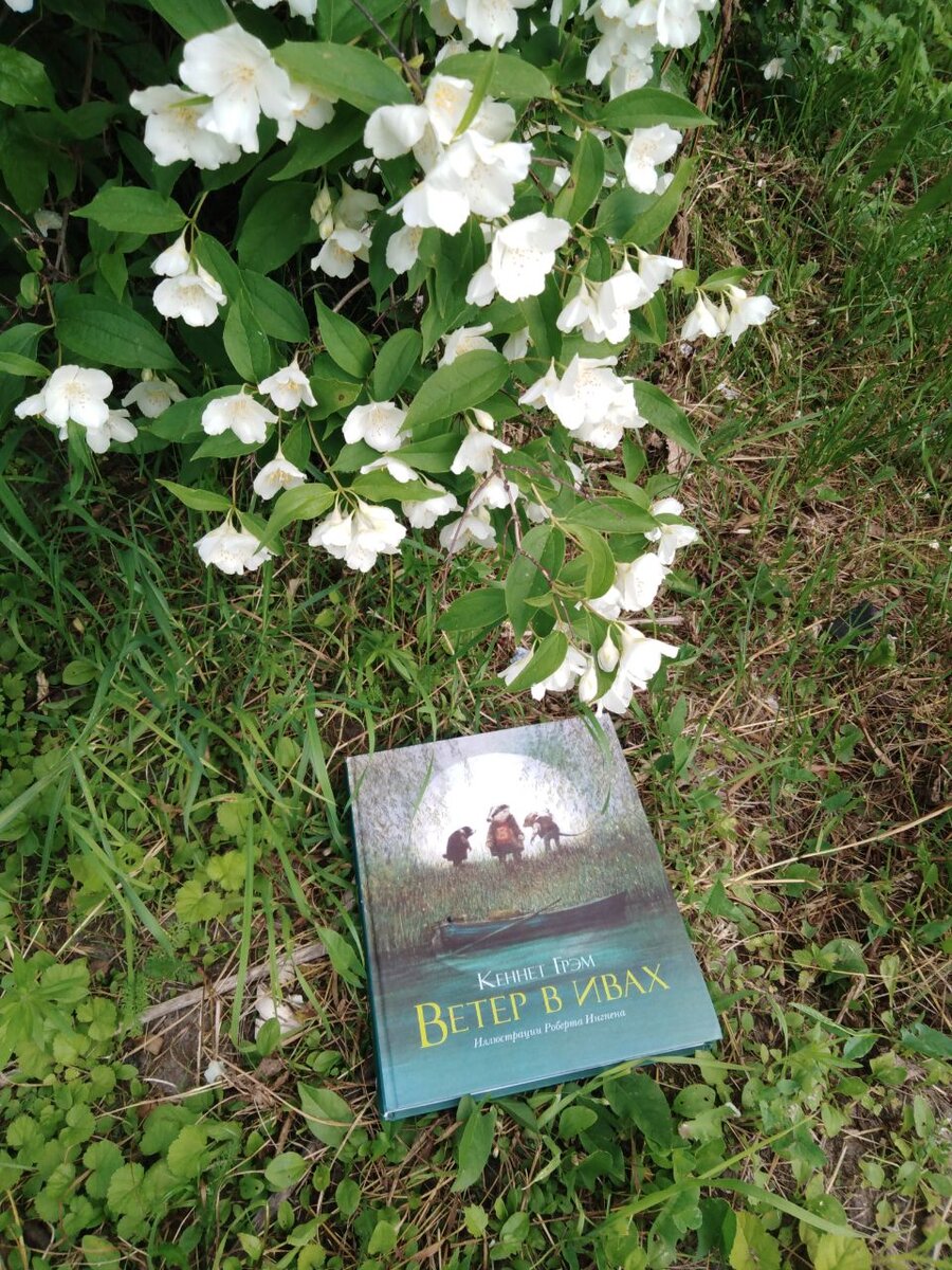 Фото автора.