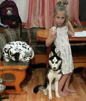 Девочка Настя, далматин Молли и спасённая с улицы хаски. Фото из семейного архива.