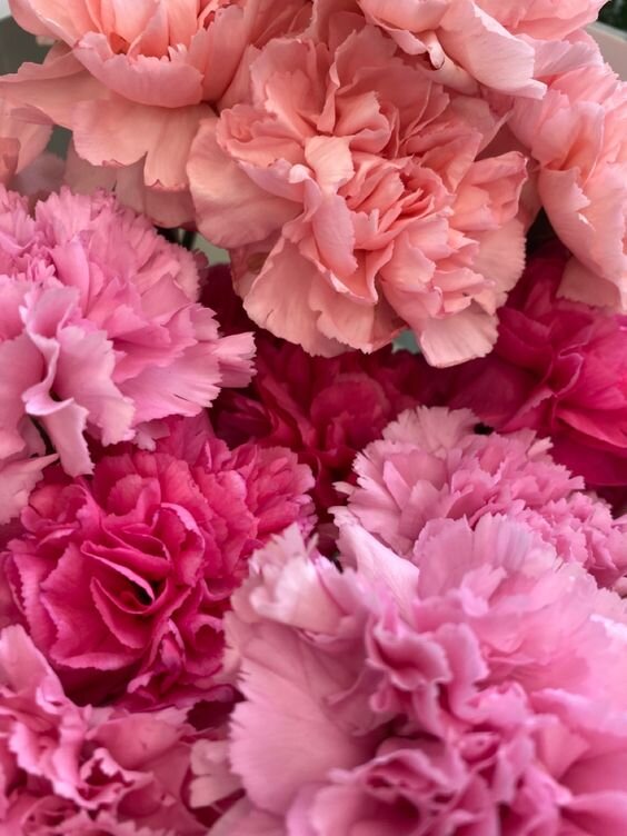 Картинка взята из Пинтереста и находится в открытом доступе.