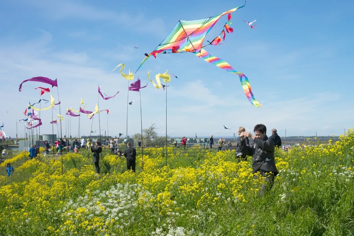 Куда сходить семьей на выходных 12 - 13 августа в Петербурге?