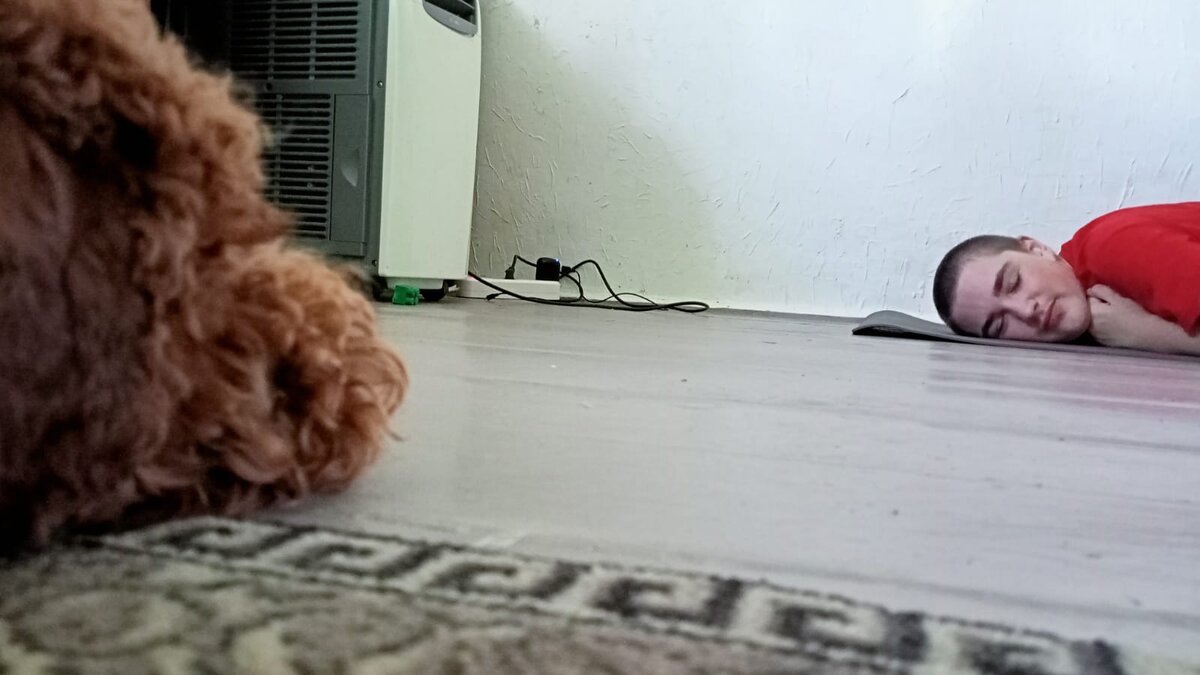 Румпель: - Гриша... Где ты?